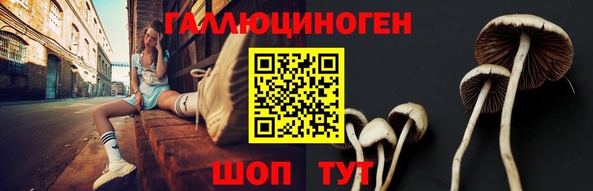 купить   Галлюциногенные грибы Psilocybe  Вход с VPN  Копейск 